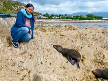 Ulrike Knoll |  Ulrike Knoll / Chamleon