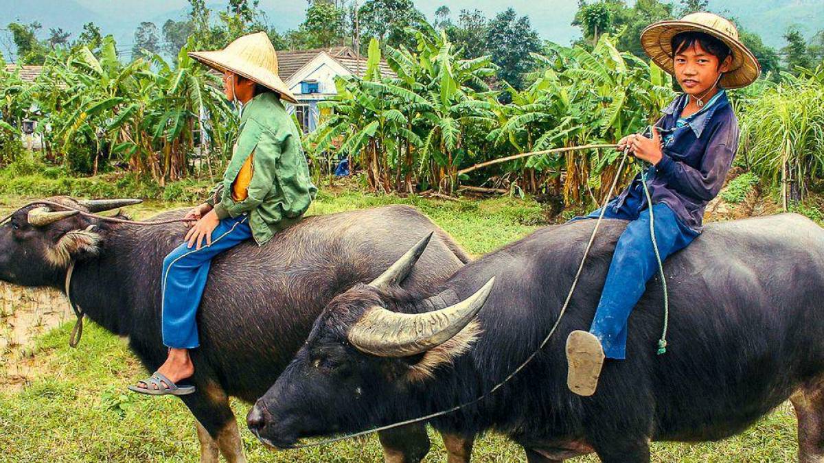 Kinder mit Wasserbffeln |  Amelie Peters / Chamleon
