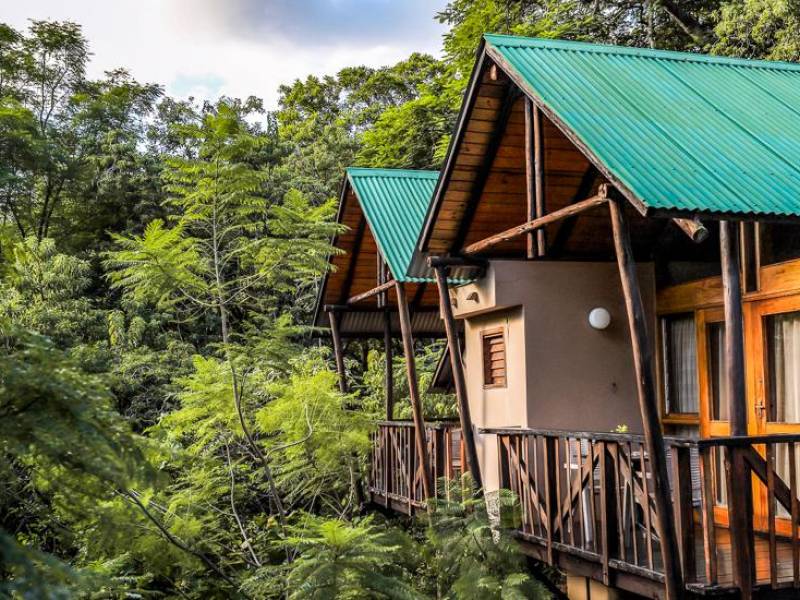 Mantenga Lodge |  Mantenga Lodge / CHamleon