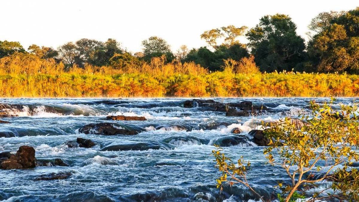 Die Popaflle |  Kai-Uwe Kchler / Chamleon