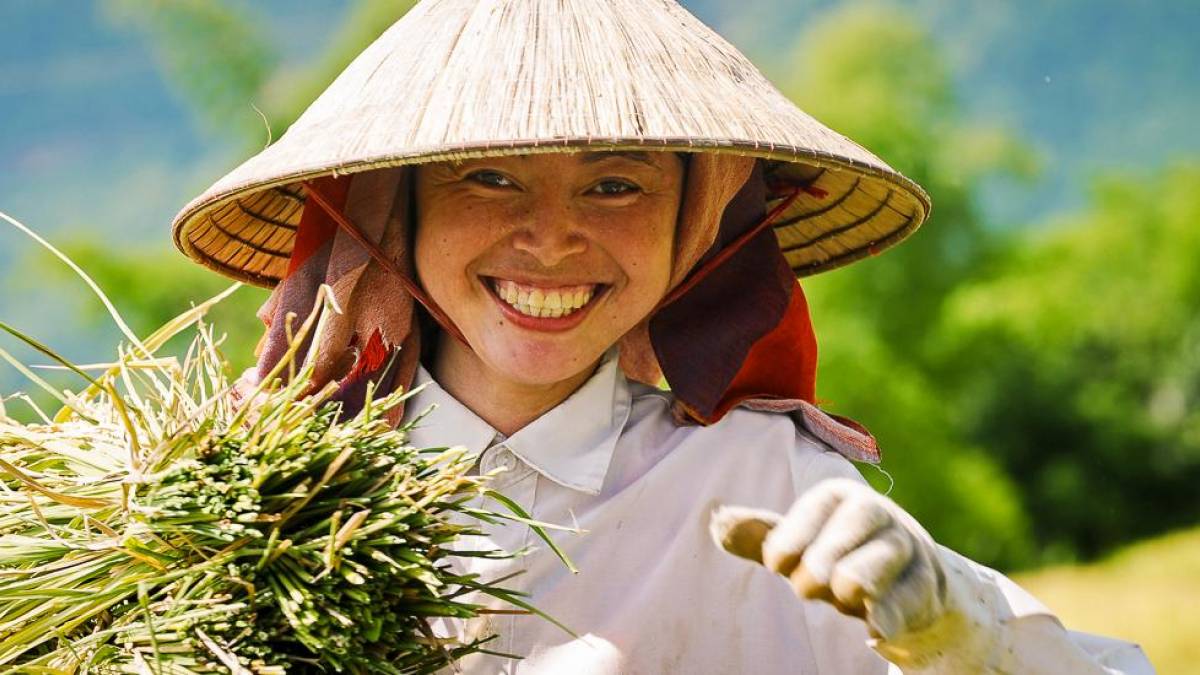 Buerin bei der Reisernte |  Handspan Travel / Chamleon