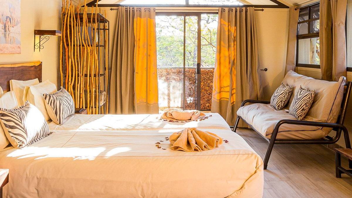 Etosha Village |  Xenia Ivanoff-Erb, Etosha Village / Chamleon