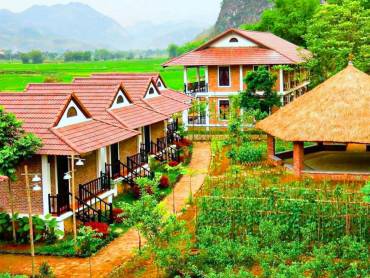 Sol Bungalows |  Sol Bungalows / Chamleon