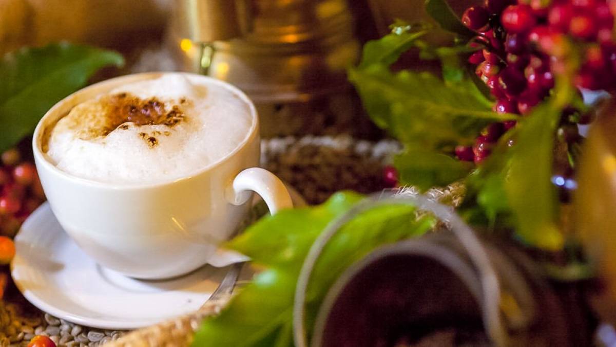 Kaffeegenuss |  Justin Mott, Arusha Coffee Lodge / Chamleon