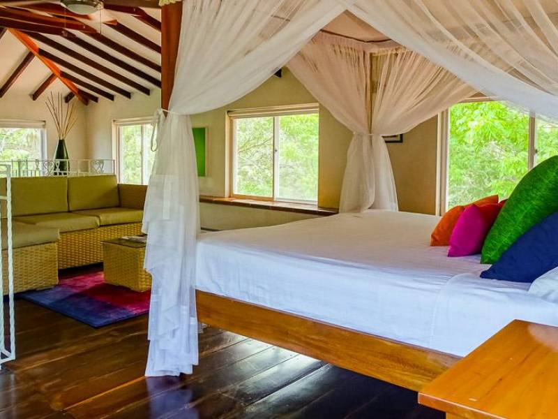 Villa Maria |  Villa Maria / Chamleon