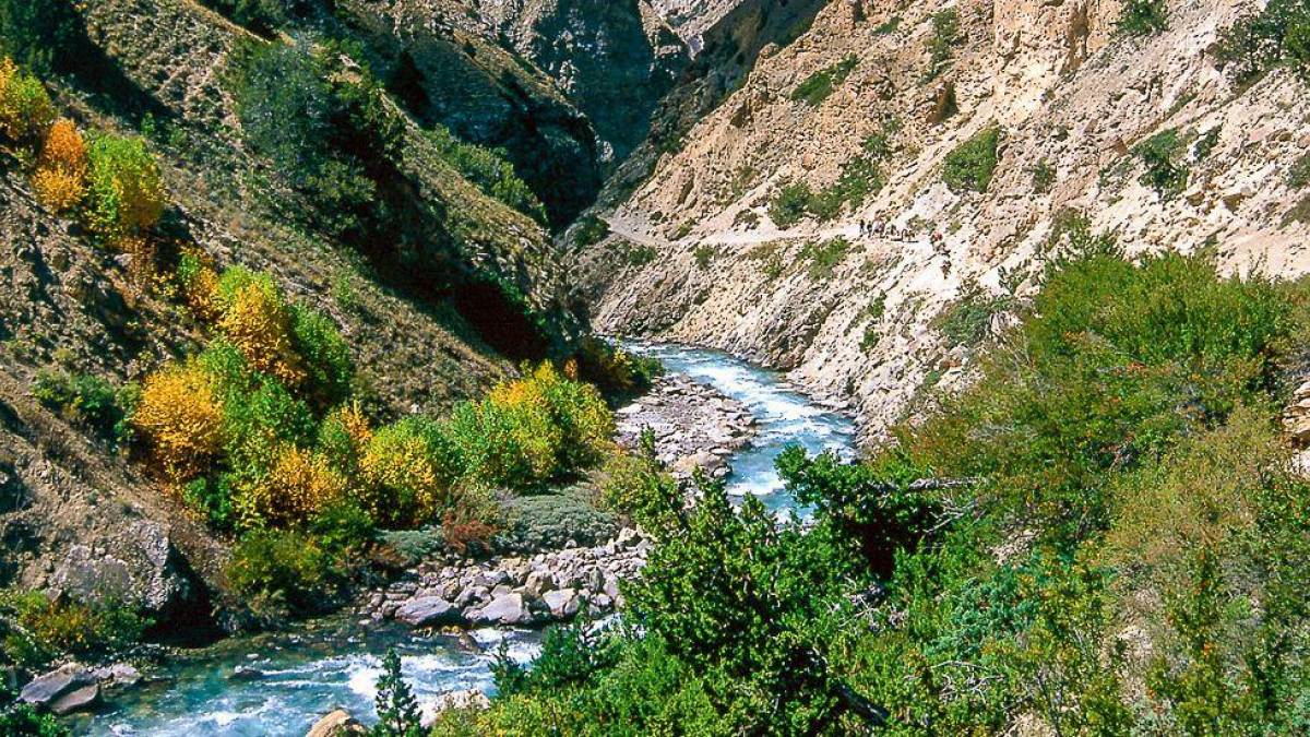 Wanderung |  Chamleon