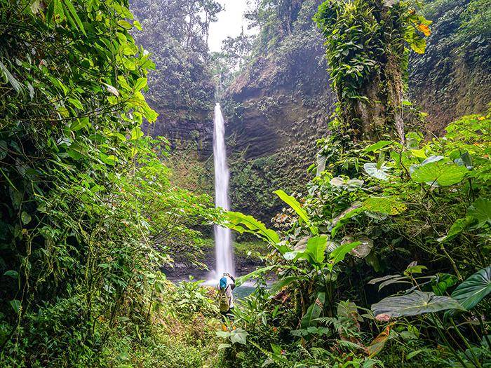Mit jeder Reise sch?tzen wir mehr Regenwald |  Gustavo Pazmio / Chamleon