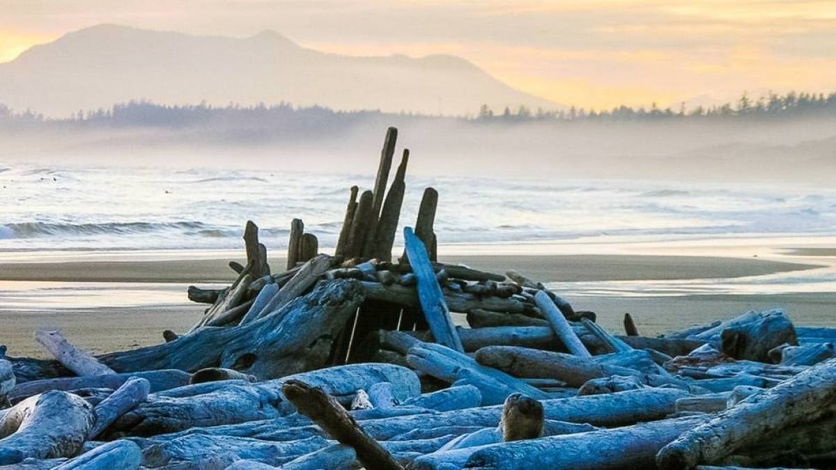 Vancouver Island |  Sylvia Wacker / Chamleon