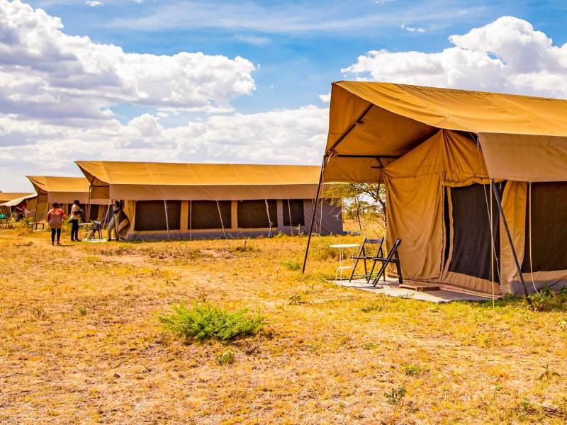 Serengeti Wildebeest Camp |  Zara Tours / Chamleon