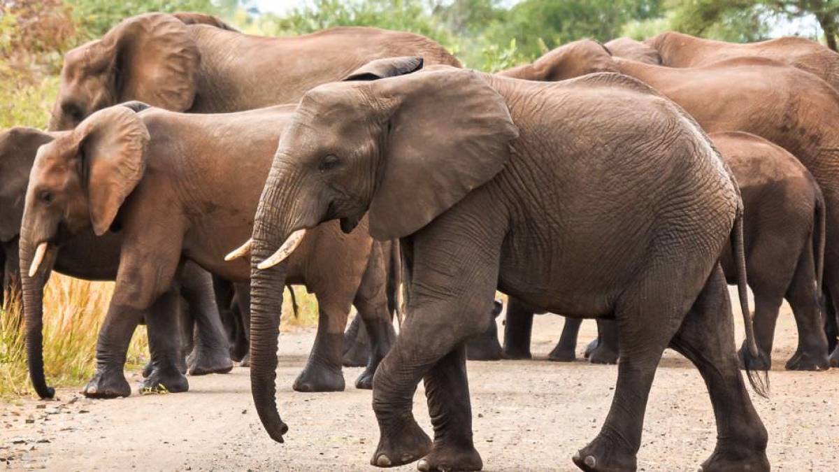 Strae gesperrt |  Jitka Stipkova / Chamleon