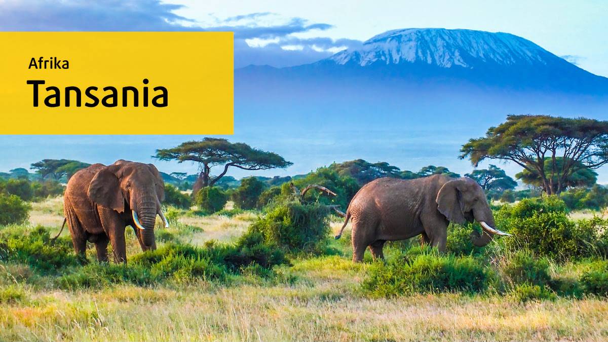 Tansania  Ein Traum von Afrika