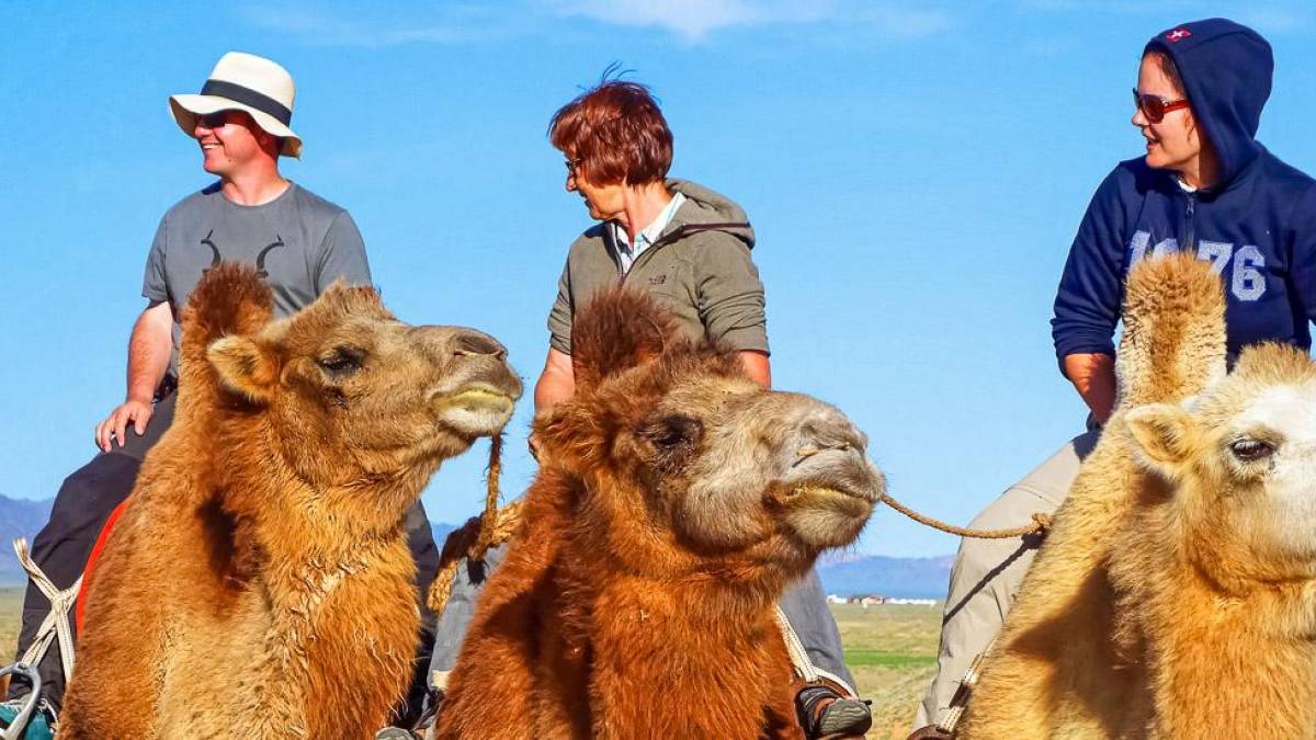 Links oder rechts? |  Beate Schade / Chamleon