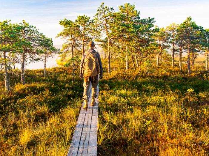 Wanderung durch das Moor im Nationalpark |  Karl Ander Adami, Visit Estonia / Chamleon