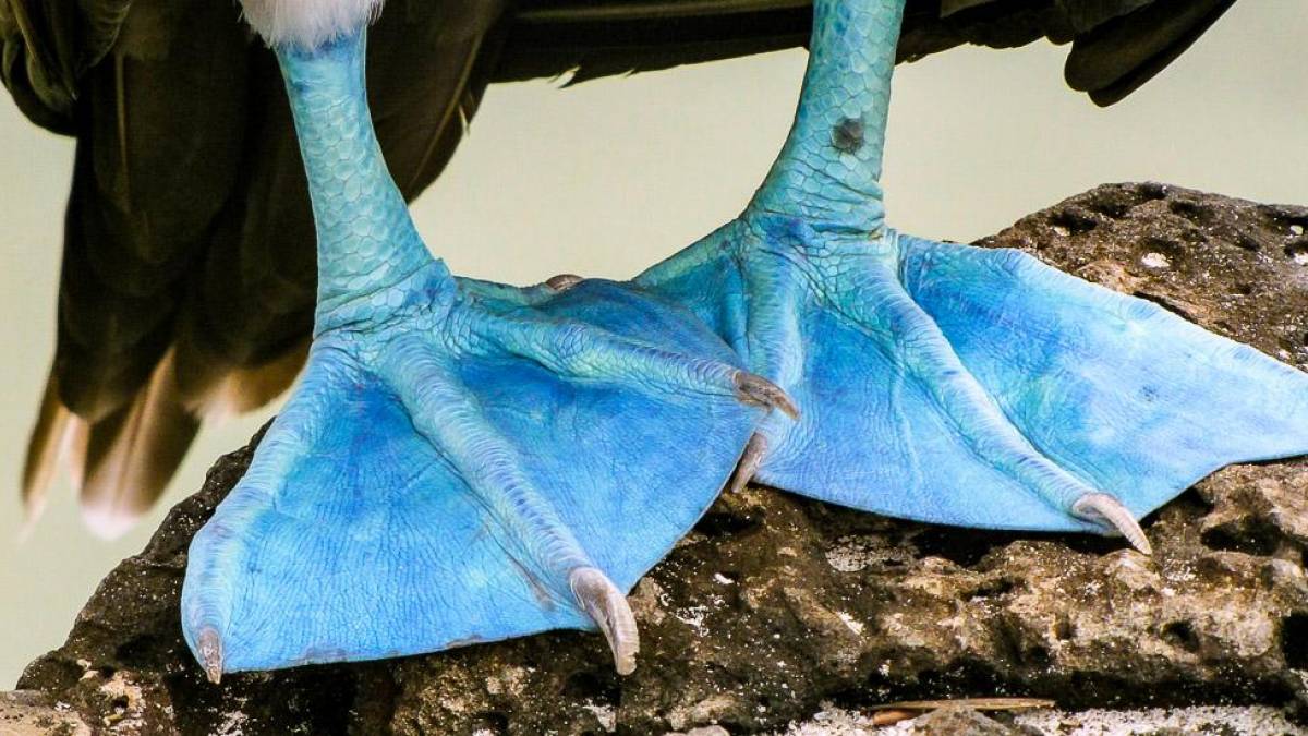 Ich sehe blau! |  Marina Buerlein / Chamleon