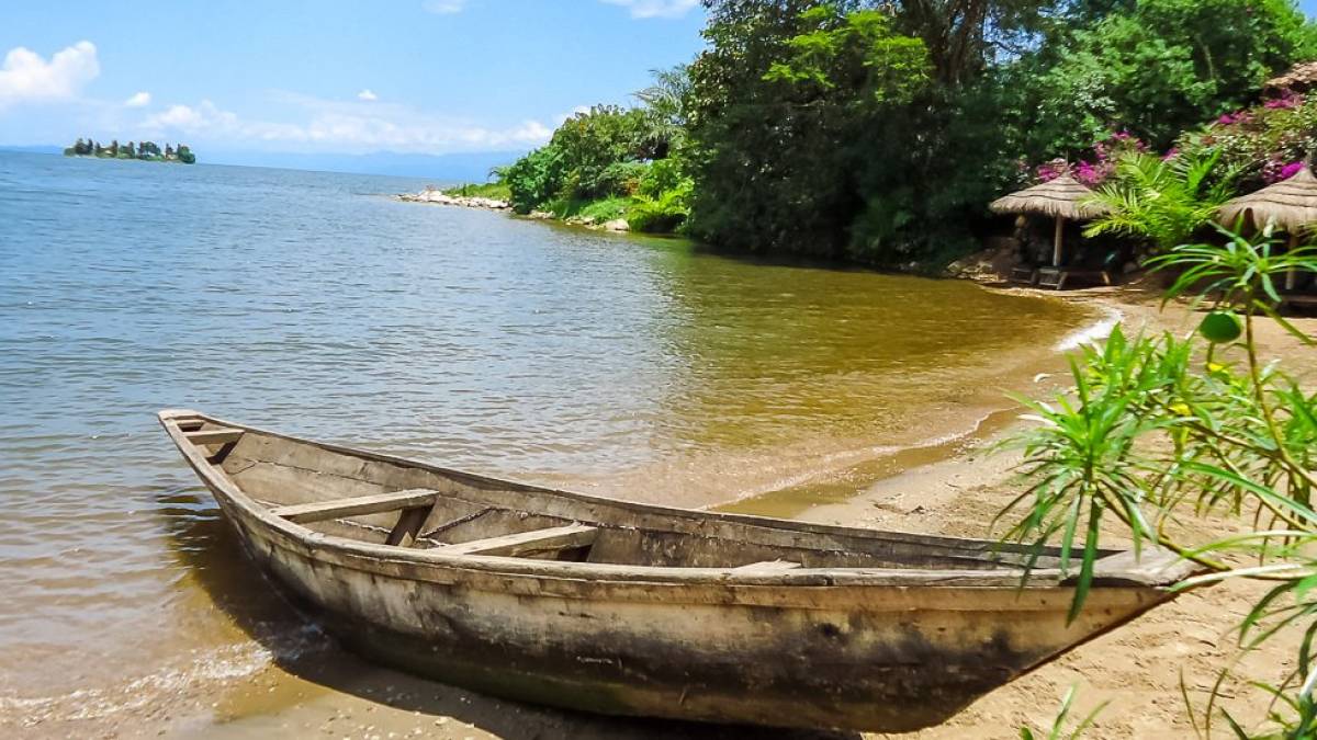 Paradis Malahide am Kivu See |  Paradis Malahide / Chamleon