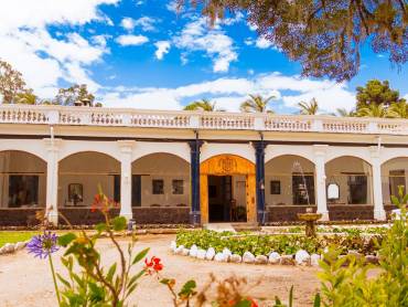 Hacienda Pinsaqu |  Efrain Velasquez, Hacienda Pinsaqu / Chamleon