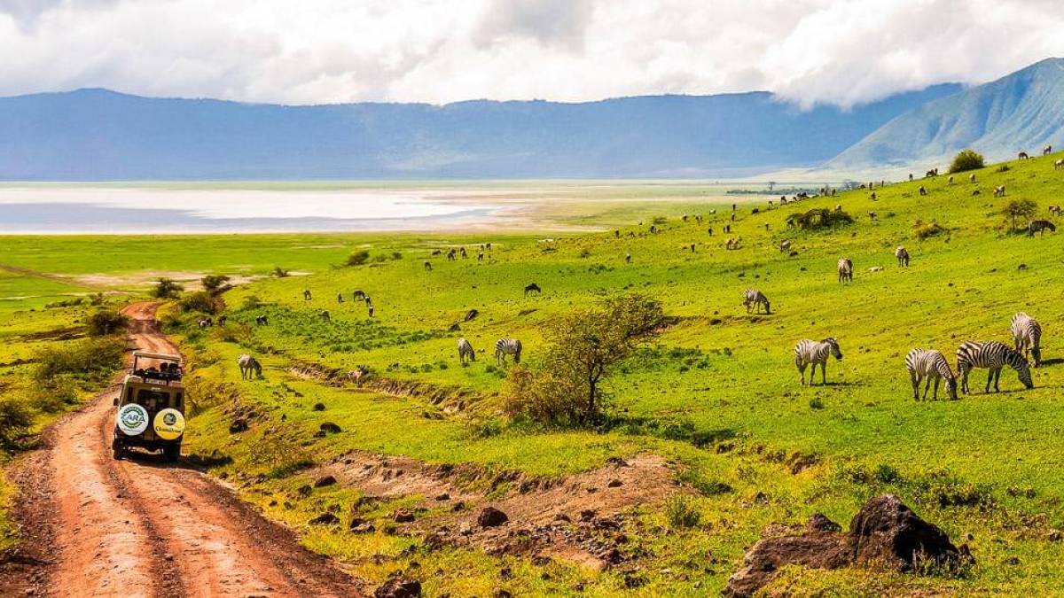 Safari im Ngorongoro-Krater |  Alexander Sass / Chamleon