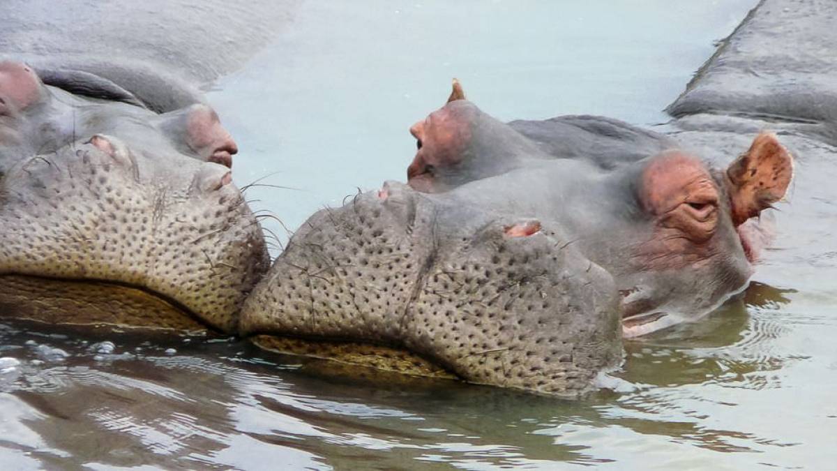 Wellness in Sdafrika |  Alexandra Schreieck / Chamleon