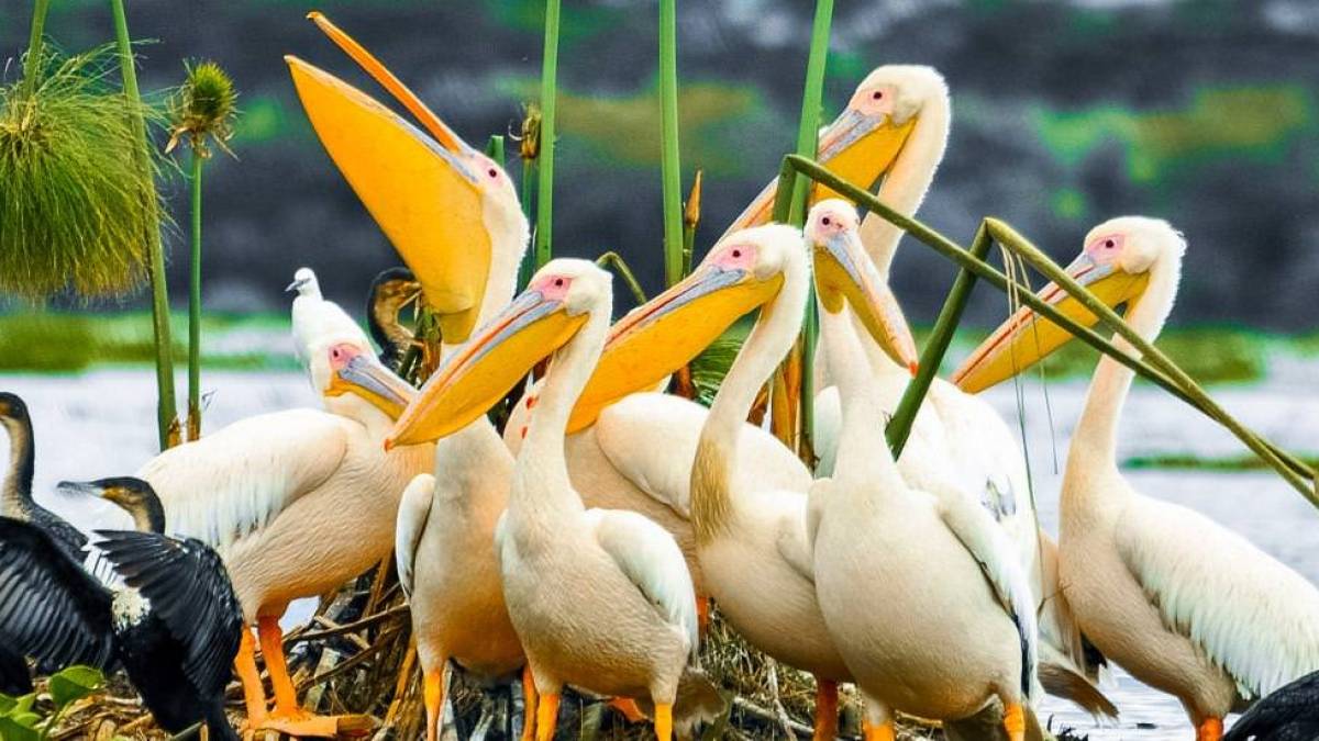 Auf einer kleinen Insel |  Christiane Geisler / Chamleon