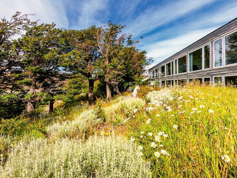 Hotel Lago Grey |  Juan Giraldo, Hotel Lago Grey / Chamleon