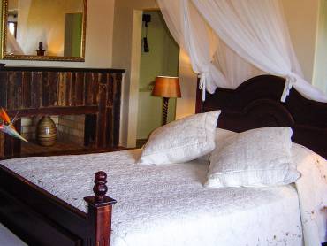 St. Lucia Wetlands Guest House |  St. Lucia Wetlands Guest House / Chamleon
