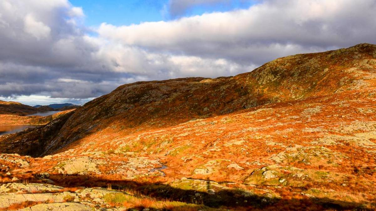 Norwegische Tundra |  Magne Roed, Unsplash / Chamleon