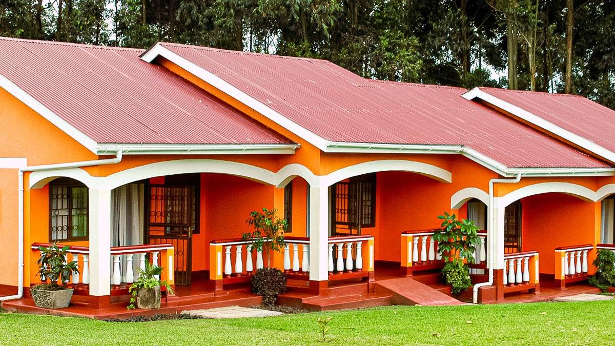 Kluges Gstefarm |  Kluges Gstefarm / Chamleon