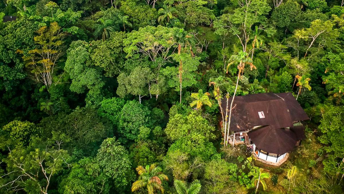 Die Las Cascadas Jungle Lodge mitten im Regenwald |  Alfonso Tandazo, Surtrek / Chamleon
