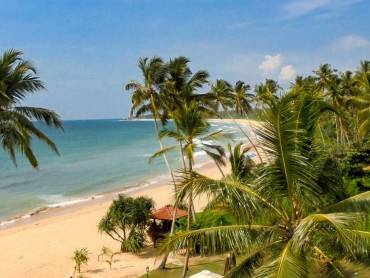 Palmenstrand am Indischen Ozean