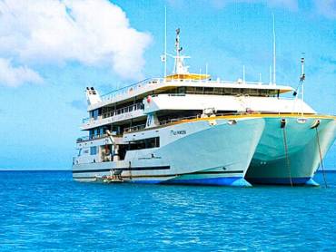 Fiji Princess |  Fiji Princess / Chamleon