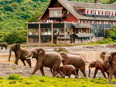 The Ark Lodge |  Marasa Africa, The Ark Lodge / Chamleon