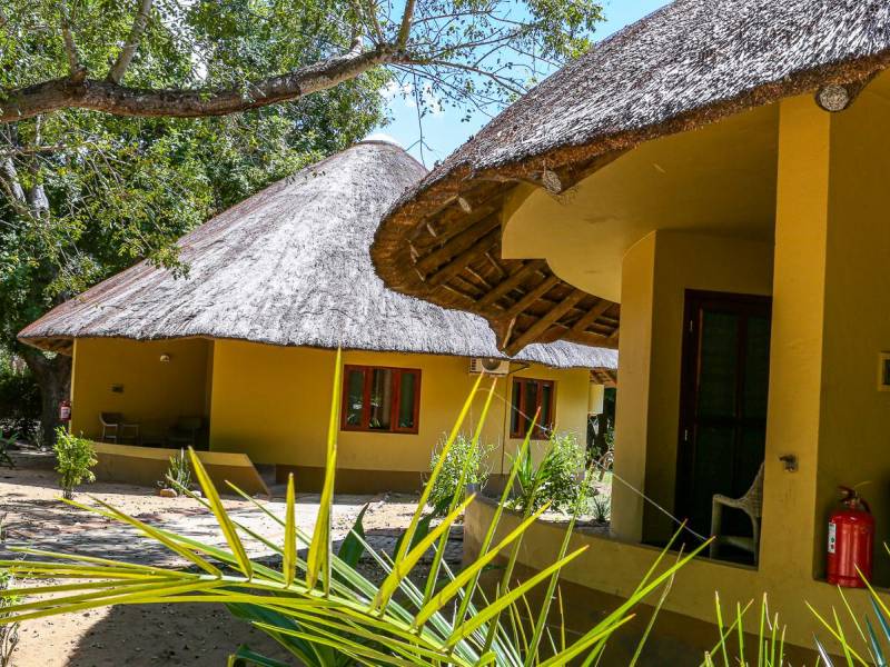 Montebelo Gorongosa Lodge |  Bjoern Baur, Montebelo Gorongosa Lodge / Chamleon