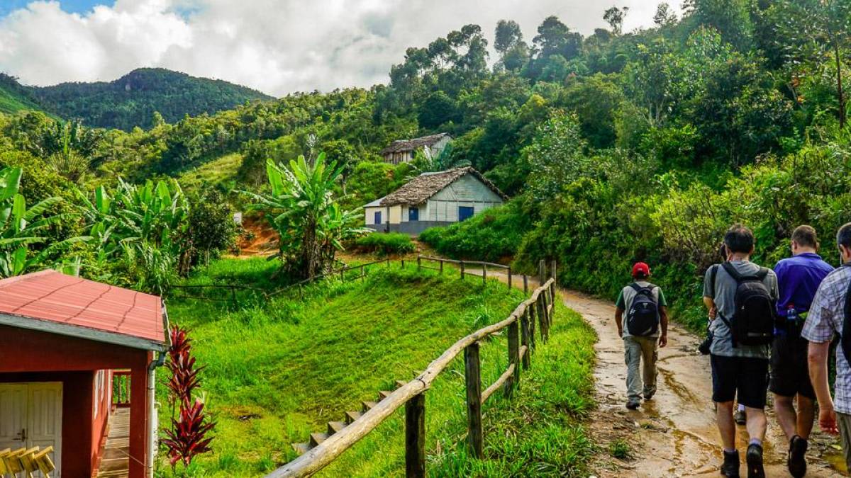 Auf dem Weg zum Bume pflanzen im Maromizaha Schutzgebiet |  Anne Wiborg / Chamleon