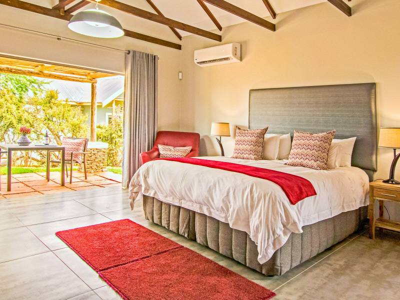 Addo Wildlife |  Addo Wildlife / Chamleon