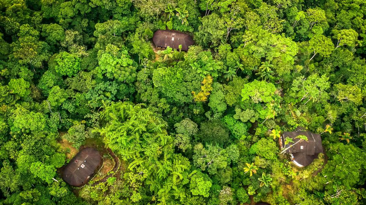 Die Las Cascadas Jungle Lodge mitten im Regenwald |  Alfonso Tandazo, Surtrek / Chamleon