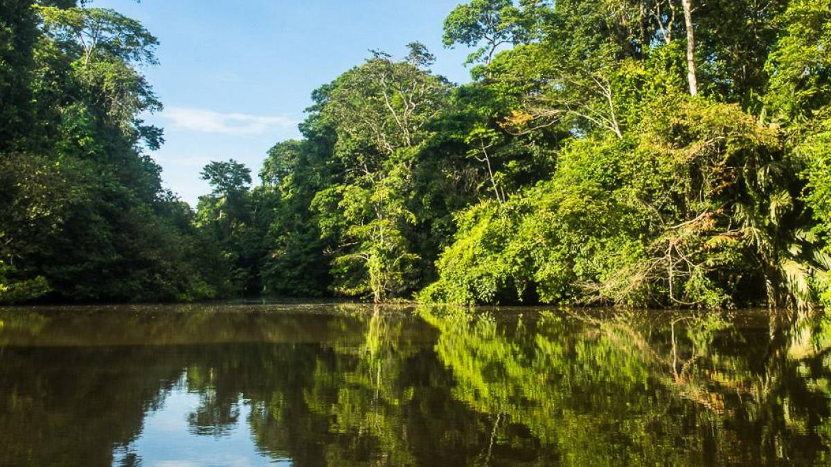 Tortuguero Nationalpark |  Hannes Schleicher / Chamleon