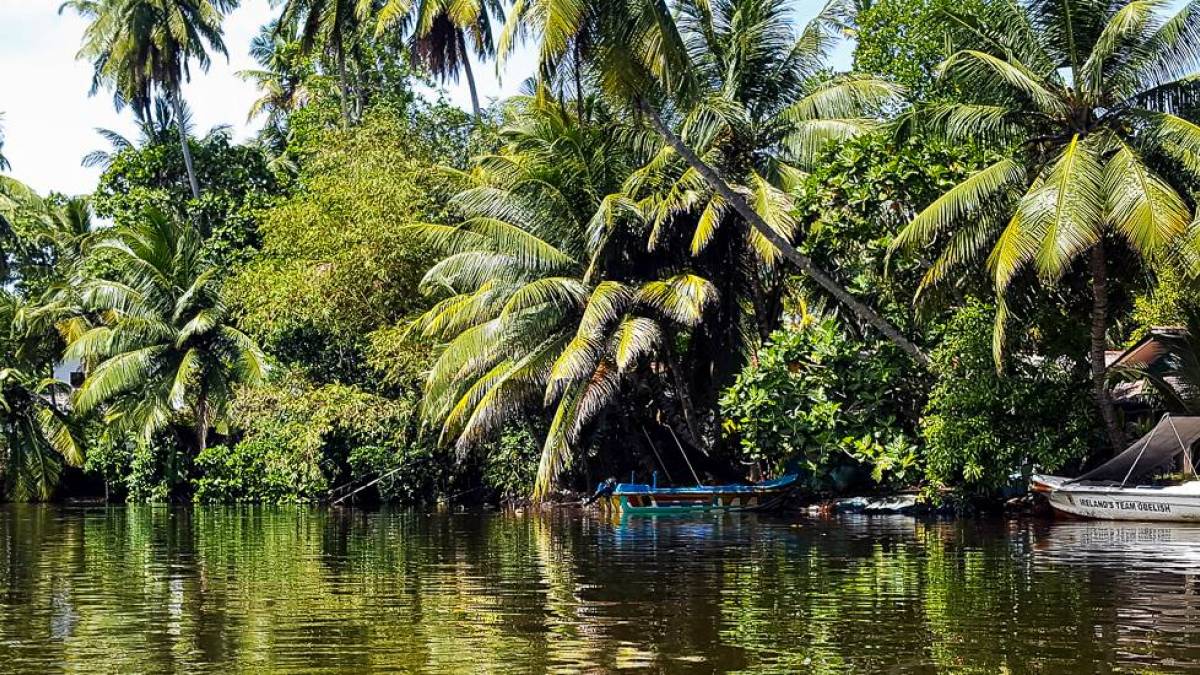 Dschungel Idylle |  Julie Timmroth / Chamleon