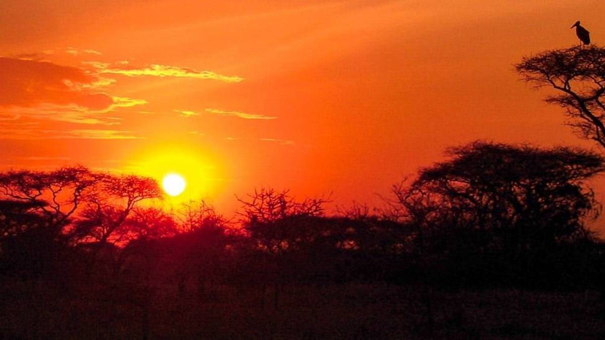 Sonnenuntergang |  Antje Bauer / Chamleon