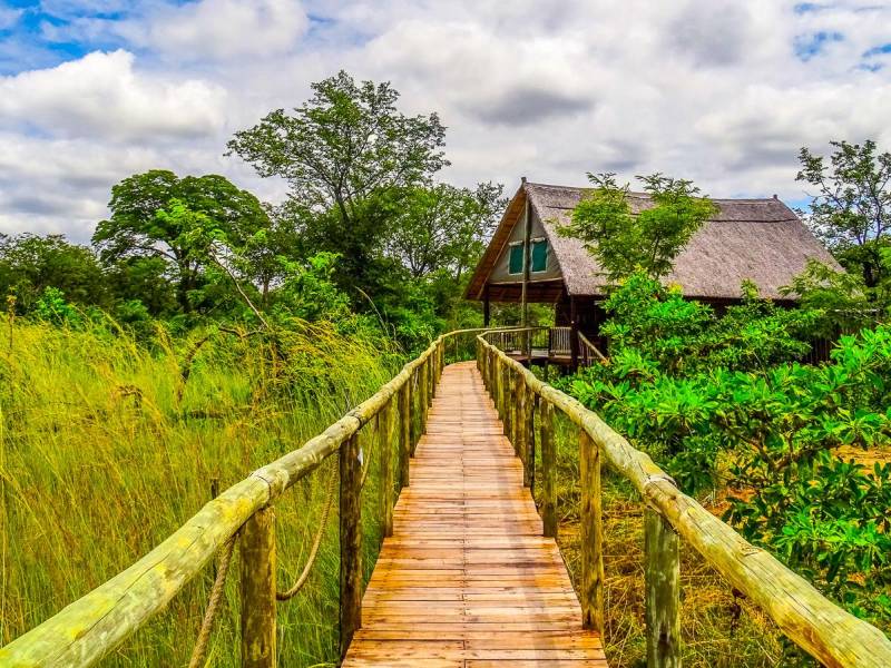 Lucky Bush Camp |  Lucky Bush Camp / Chamleon