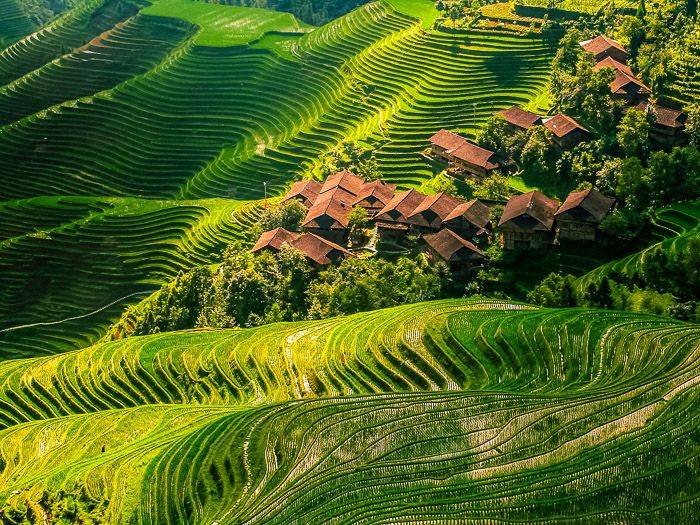 Reisterrassen von Longsheng |  China Tours / Chamleon