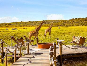 Hatari Lodge, Beobachtungs-Plattform