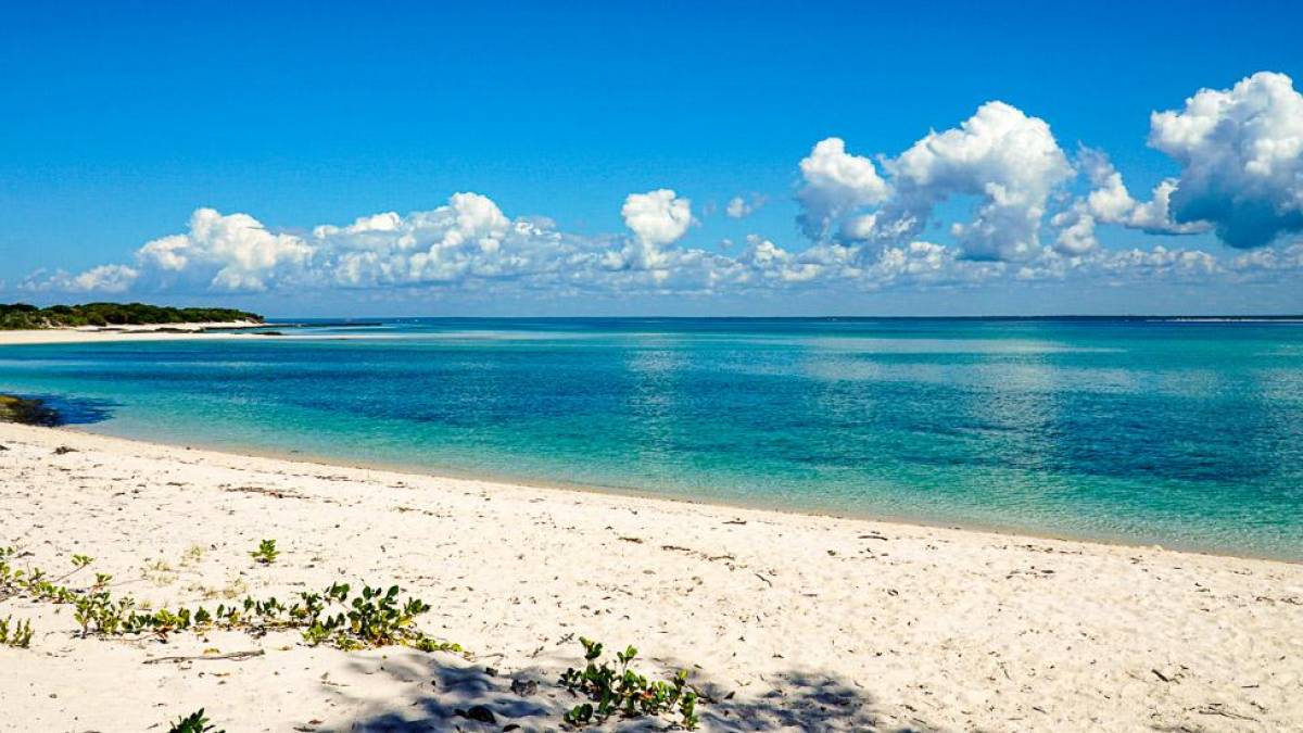 Ein Traum |  Susanne Schulz / Chamleon